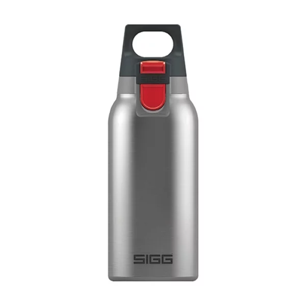 Sigg Thermo Bottle One Brushed Hot&Cold 0.3Liter 8581.70
